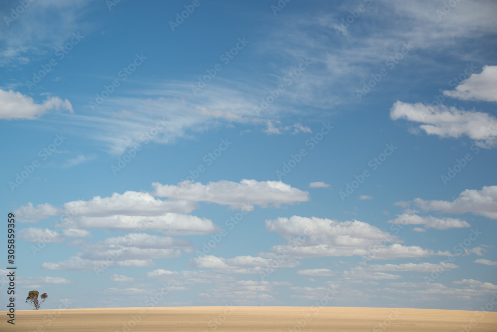 Sunny day in South Australian wheat fields Sunny day in South Australian wheat fields