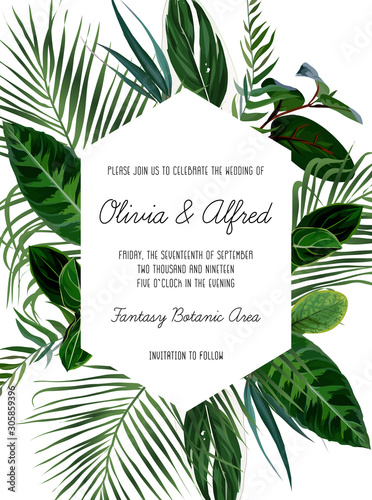 Tropical frame arranged from exotic emerald leaves.