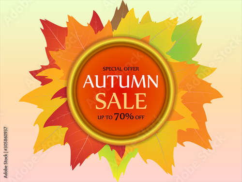 Special autumn offer, banner with colorful seasonal autumn leaves, for sales promotion with discounts. Vector illustration.