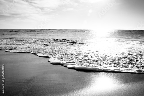 Black & white beach wave