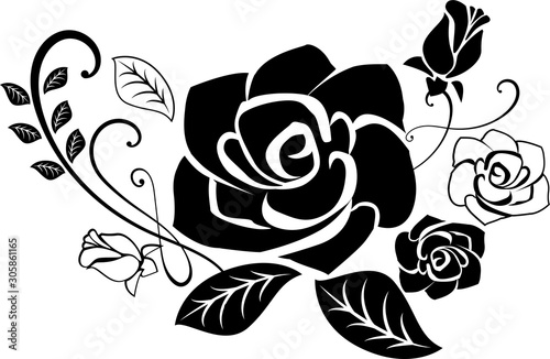 薔薇　イラスト