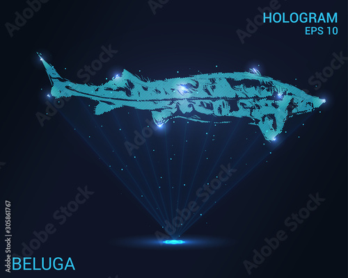 Hologram sturgeon . Holographic projection of Beluga. Flickering energy flux of particles. Scientific design animals.