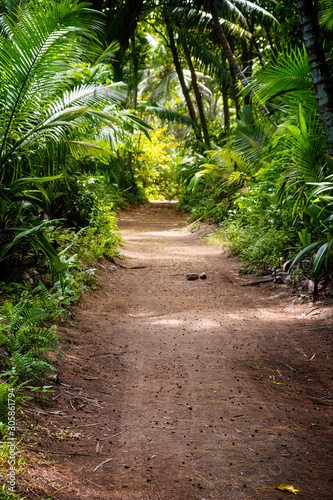 Ground rural road in the middle of tropical jungle, vertical composition