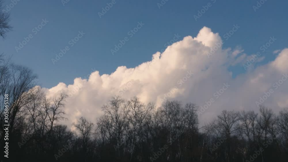 White clouds fly over deciduous forest trees. White clouds fly over deciduous forest trees.