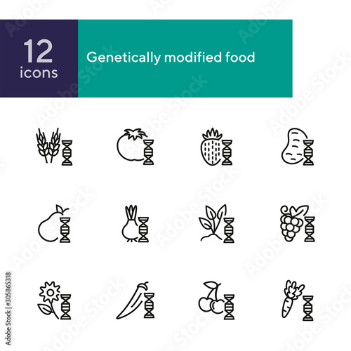 Genetically modified food line icon set. Gene, grain, fruit, vegetables. Food concept. Can be used for topics like genetics, agriculture, GM food