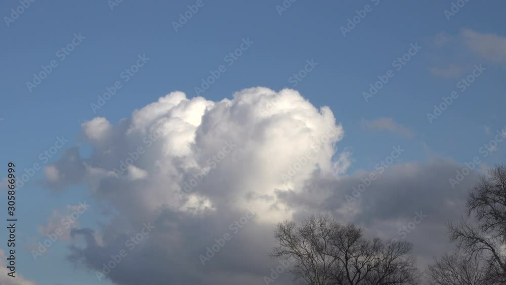 White clouds fly over deciduous forest trees. White clouds fly over deciduous forest trees.