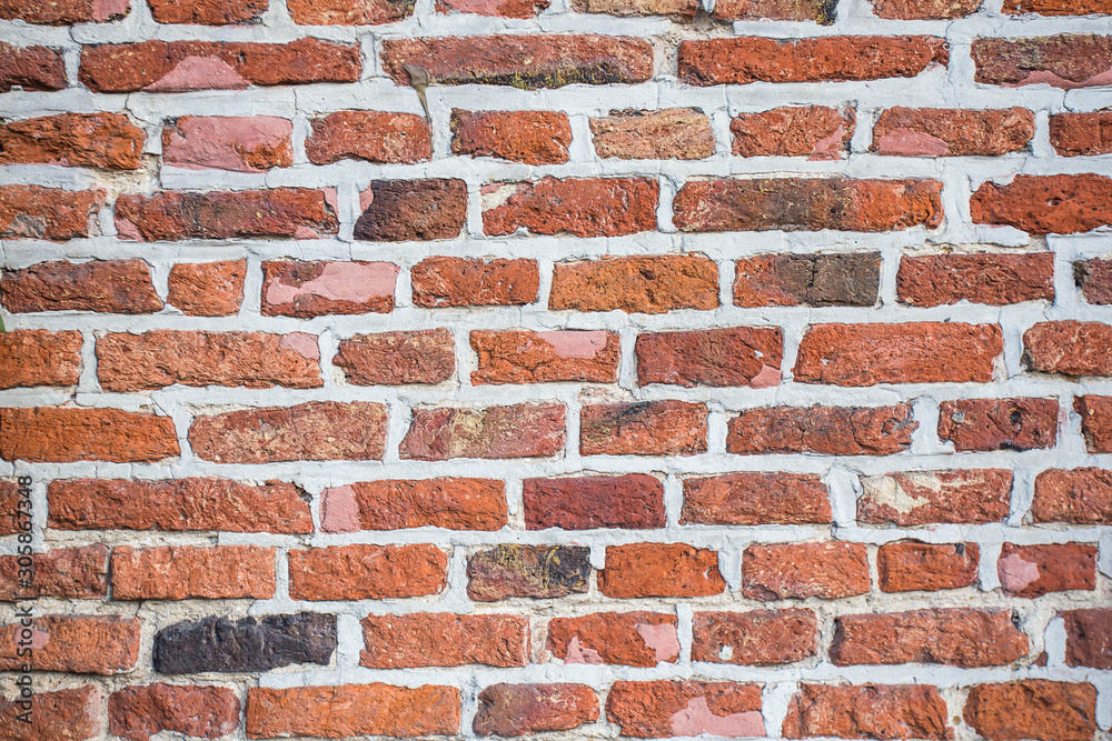 Fototapeta premium brick wall texture background on day noon light for interior or exterior decoration .