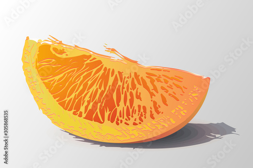 A slice of juicy orange. Isolated on a white background. Vector illustration
