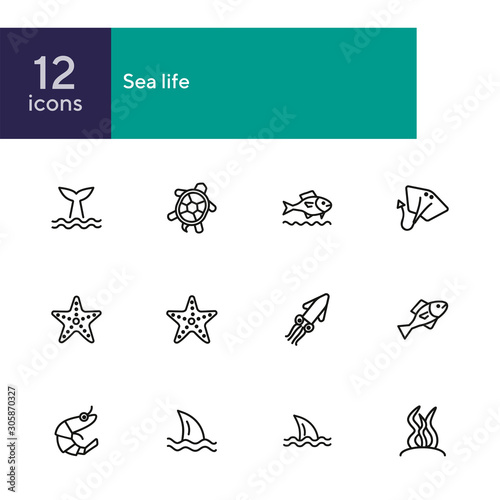 Sea life line icon set. Turtle, shark, squid. Nature concept. Can be used for topics like diving, aquarium, ocean