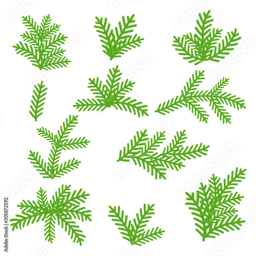 Fir branches with a cone. For Christmas wreath, border, or frames
