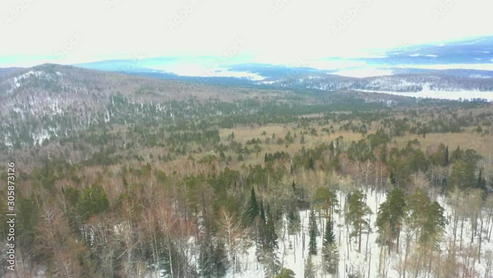 Rocky mountain in the middle of a pine forest in winter Rocky mountain in the middle of a pine forest in winter