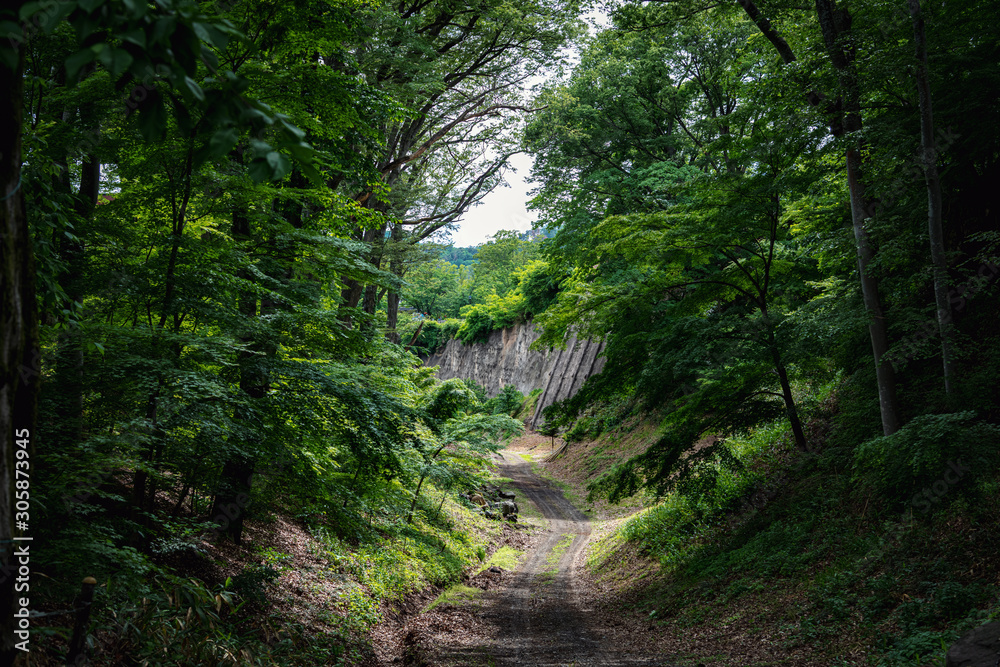 Fototapeta premium 長野 小諸城 北谷の風景