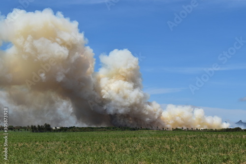 Field in fire with large cloud of choking smoke, ecological disaster.