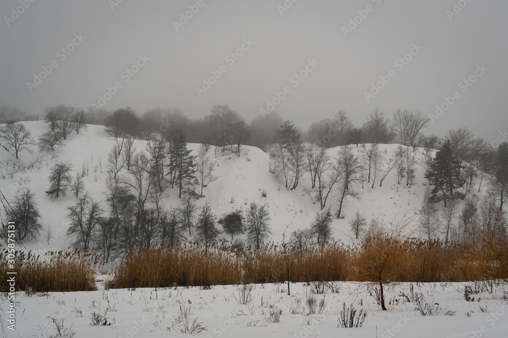 Winter sad landscape with bare trees and hill with bushes. Yellow dry reeds in the middle. Winter sad landscape with bare trees and hill with bushes. Yellow dry reeds in the middle.