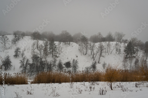 Winter sad landscape with bare trees and hill with bushes. Yellow dry reeds in the middle.
