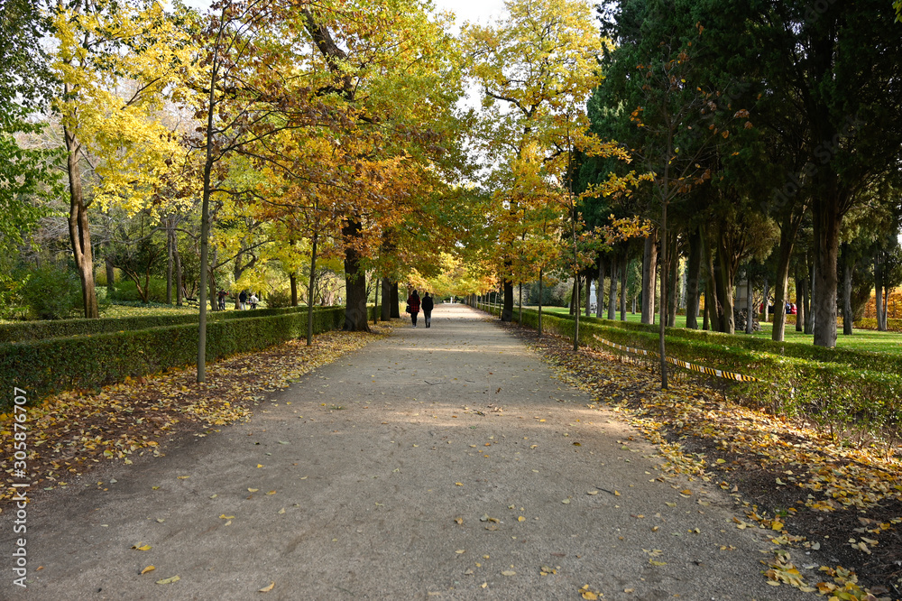 Naklejka premium Autumn