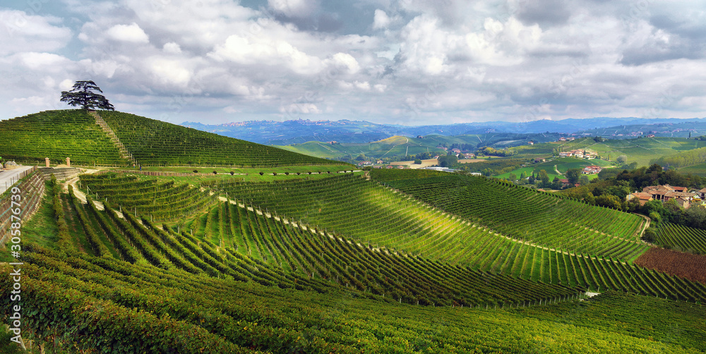 View of autumnal vineyards on the hills of Langhe region in Piedmont, Northern Italy