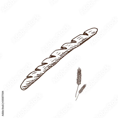 Baguette. Hand drawn loaf of bread. Sketch style vector illustration. Isolated on white.