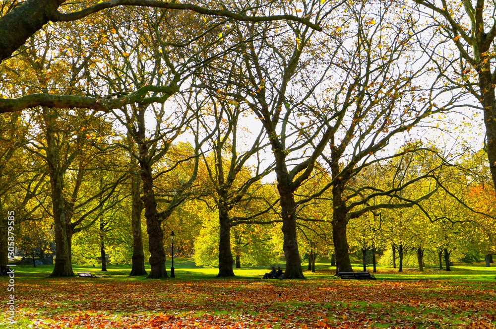  Autumn Landscape at uk park