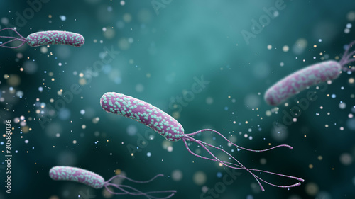 Illustration of Helicobacter pylori bacteria on an abstract color background. Medical concept. photo