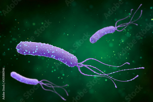 Illustration of Helicobacter pylori bacteria on an abstract green background. Medical concept.