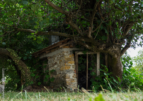 Foto scattata ad un vecchio ricovero attrezzi a Cantalupo Ligure.