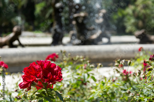 Foto scattata a Sanremo all'interno dei Giardini Nobel.