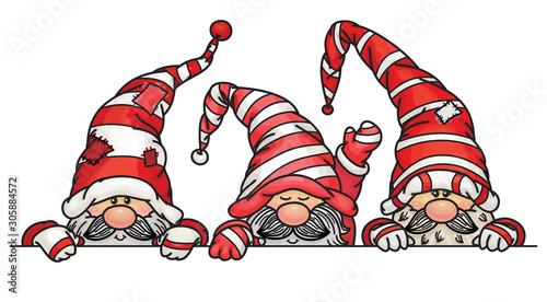 Vector  cute gnomes cartoons hiding  by blank,  isolated on white. photo
