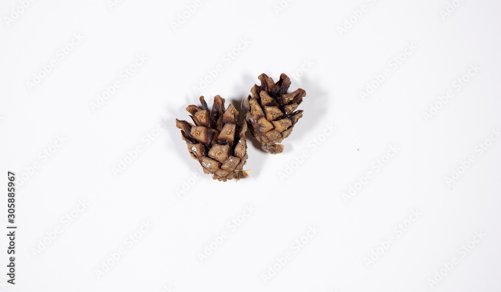 Cones with Christmas tree on a white background Cones with Christmas tree on a white background