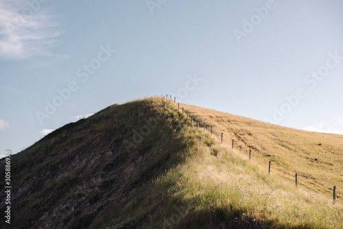 Golden grass covered hillside