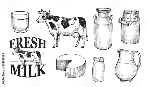 Milk and dairy products. Fresh farm milk, cheese, cottage cheese. Hand drawn illustration converted to vector. Isolated on white background