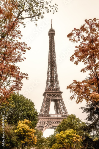 Eiffel tower, classic soft focus, natural trees framing. Paris, France. © Telly