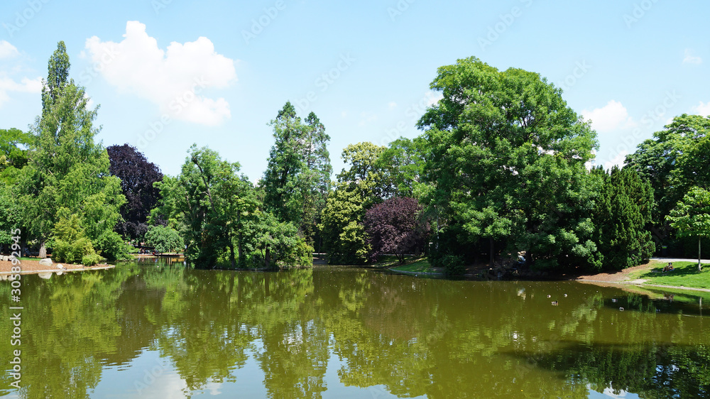 Pond in the central park of Vienna Pond in the central park of Vienna
