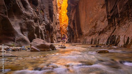 Amazing landscape of canyon in Zion National Park, The Narrow photo