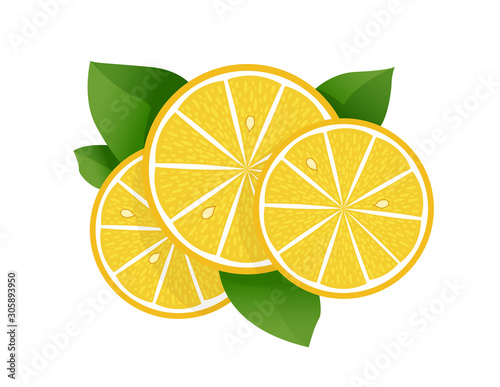 Lemon slice vector illustration on white background. Fresh sour lemon icon. Logo design