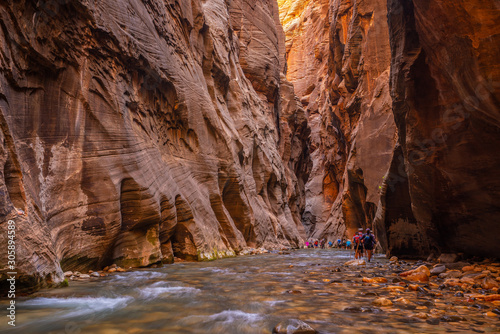 Amazing landscape of canyon in Zion National Park, The Narrow