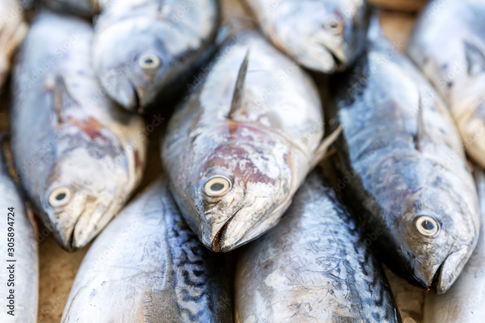 Beautifully laid out fresh fish on a counter on ice. Close-up. Beautifully laid out fresh fish on a counter on ice. Close-up.
