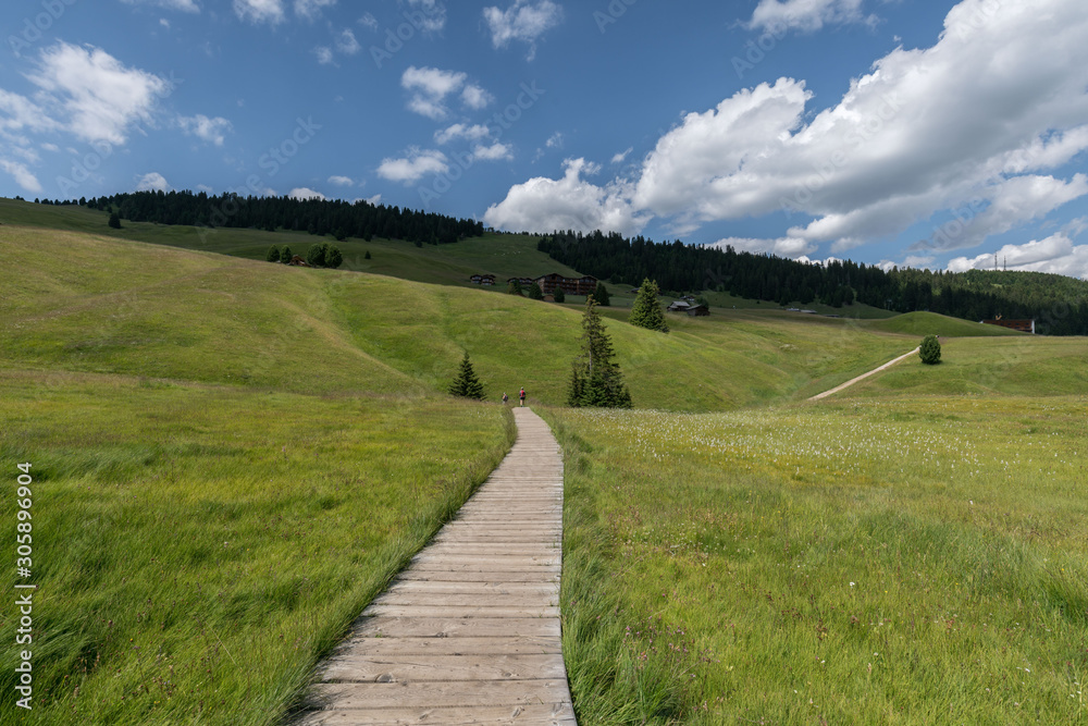 Wooden plank road on meadow on Alpe di Siusi, Seiser Alm, South Tyrol, Italy