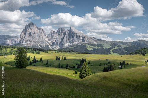 Landscapes on Alpe di Siusi with Sassolungo or Langkofel Mountain Group in Background in Summer, South Tyrol, Italy