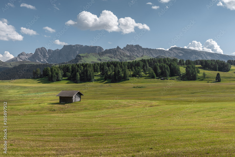 Landscapes on Alpe di Siusi with Sassolungo or Langkofel Mountain Group in Background in Summer, South Tyrol, Italy