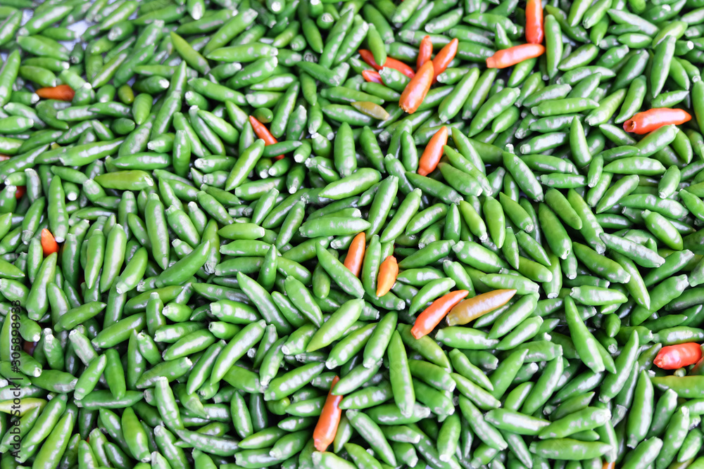 Red and green chillies mixed Red and green chillies mixed
