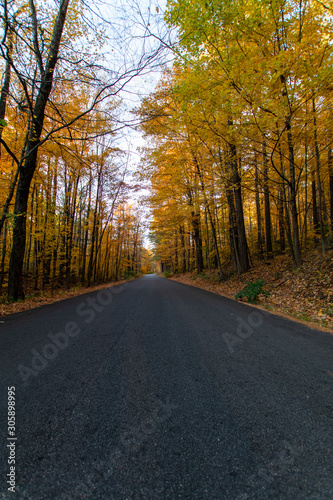 road in the forest