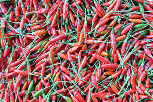 Red chili peppers © kwanbenz