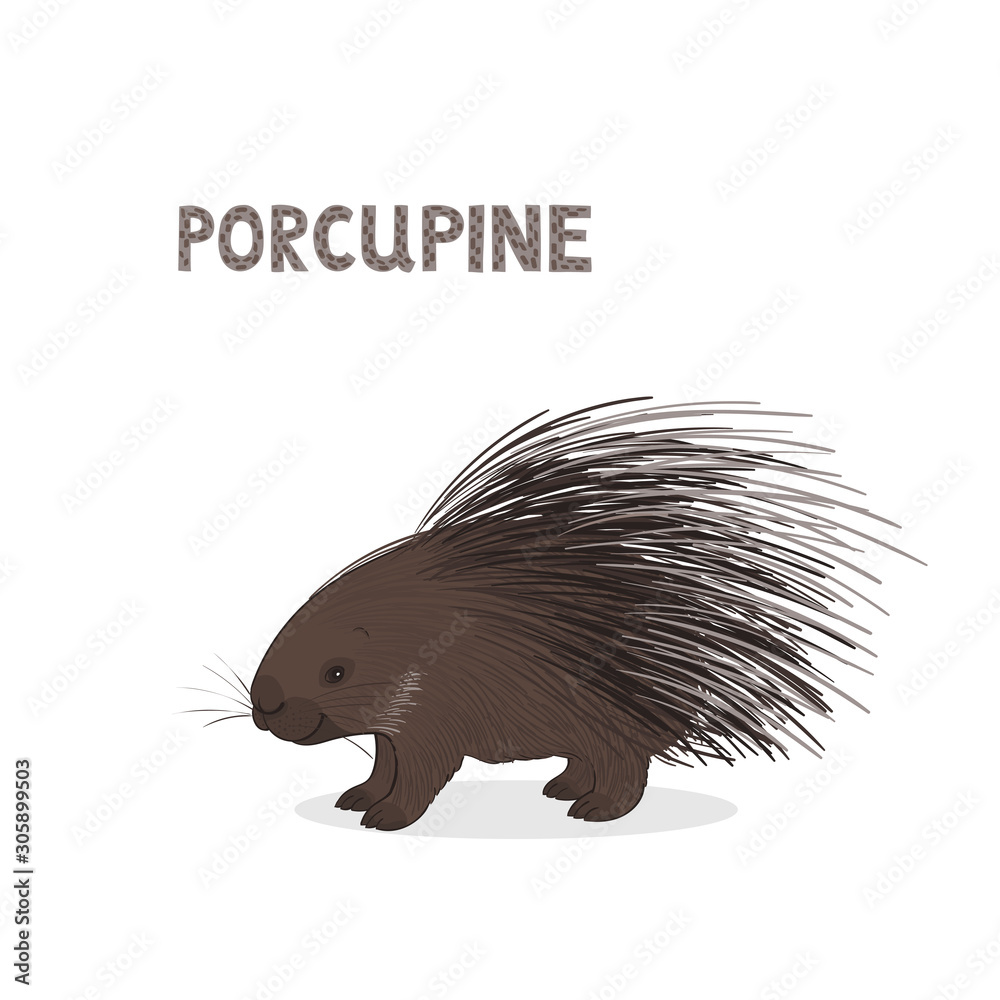 Vector illustration, a cartoon hystrix, isolated on a white background. Animal alphabet. Vector illustration, a cartoon hystrix, isolated on a white background. Animal alphabet.