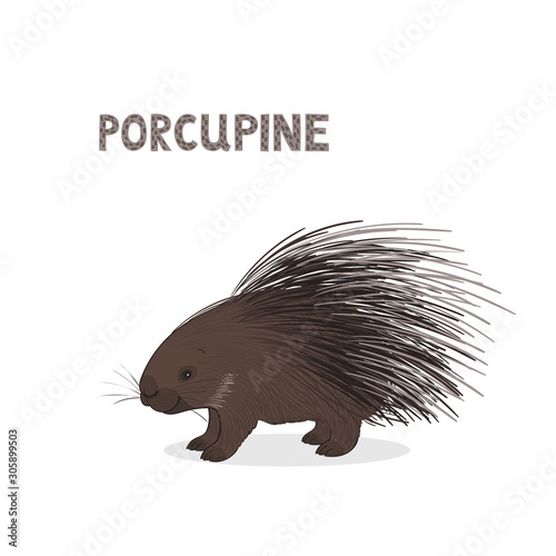Vector illustration, a cartoon hystrix, isolated on a white background. Animal alphabet.