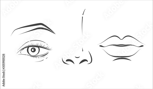 Woman face. Black and white line sketch front portrait
