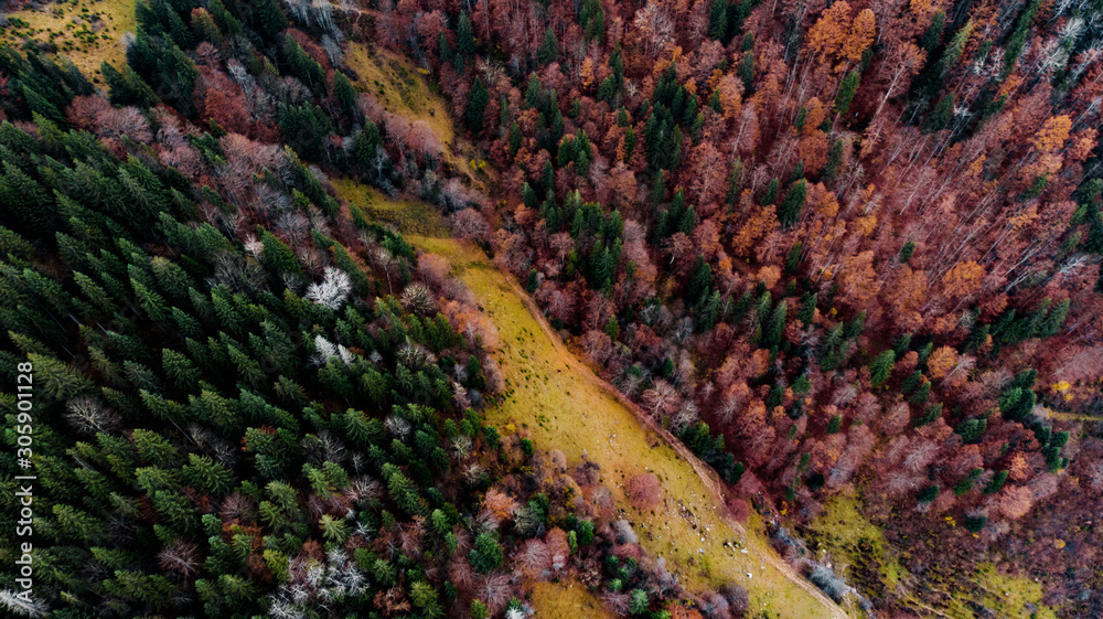 View from a drone to a glade and autumn forest in the Carpathian mountains. View from a drone to a glade and autumn forest in the Carpathian mountains.