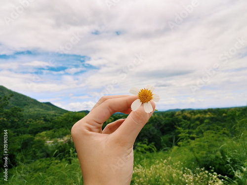 flower in nature