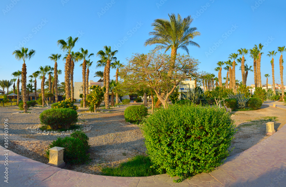 Beautiful Green Garden in an Egyptian hotel