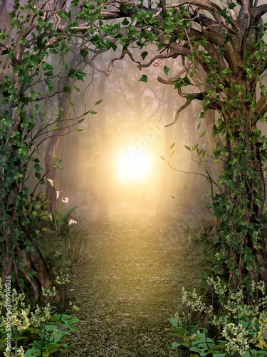 Fototapet Path through enchanting fairytale deep forest view with beautiful heavenly sunse